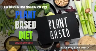 Plant-Based Diet: Improving Blood Numbers in a Few Months