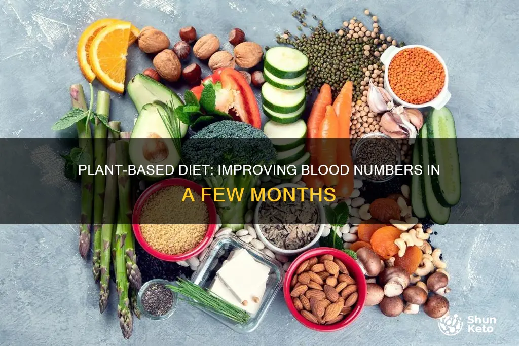 how long to improve blood numbers after plant based diet