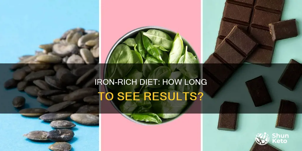 how long to increase iron through diet