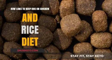 Chicken and Rice Diet for Dogs: How Long is Too Long?