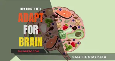 Brain Benefits of Keto: Adapting for Cognitive Performance