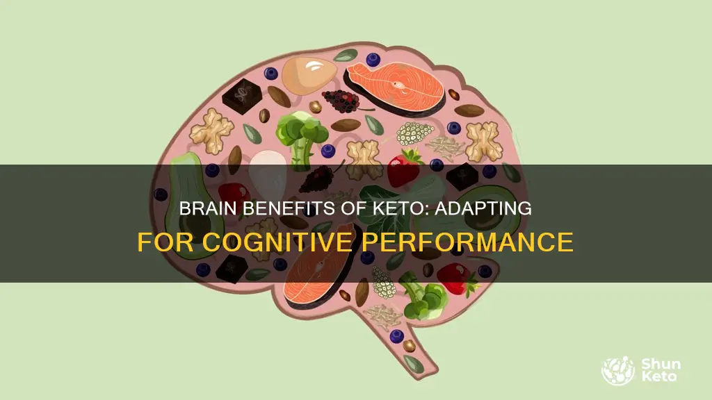 how long to keto adapt for brain