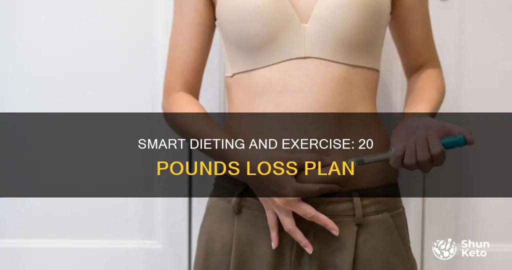 how long to lose 20 pounds with diet and exercise