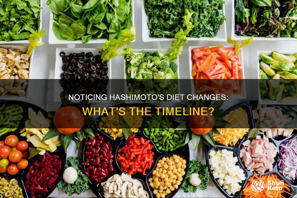 how long to notice diet changes with hasjimotos