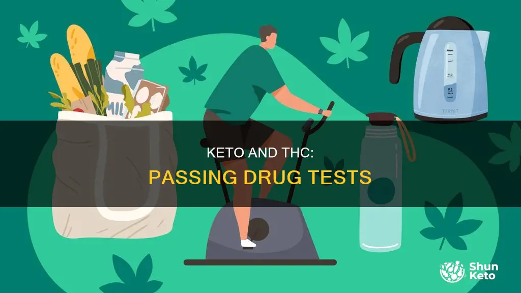 how long to pass drug test thc keto