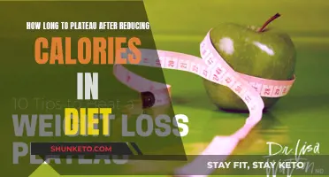 Calorie-Cutting Plateau: When and Why It Happens
