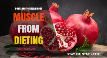 Regaining Lost Muscle: The Timeline After Dieting