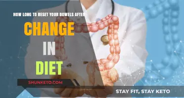 Resetting Your Bowels: Diet Changes and Recovery Time