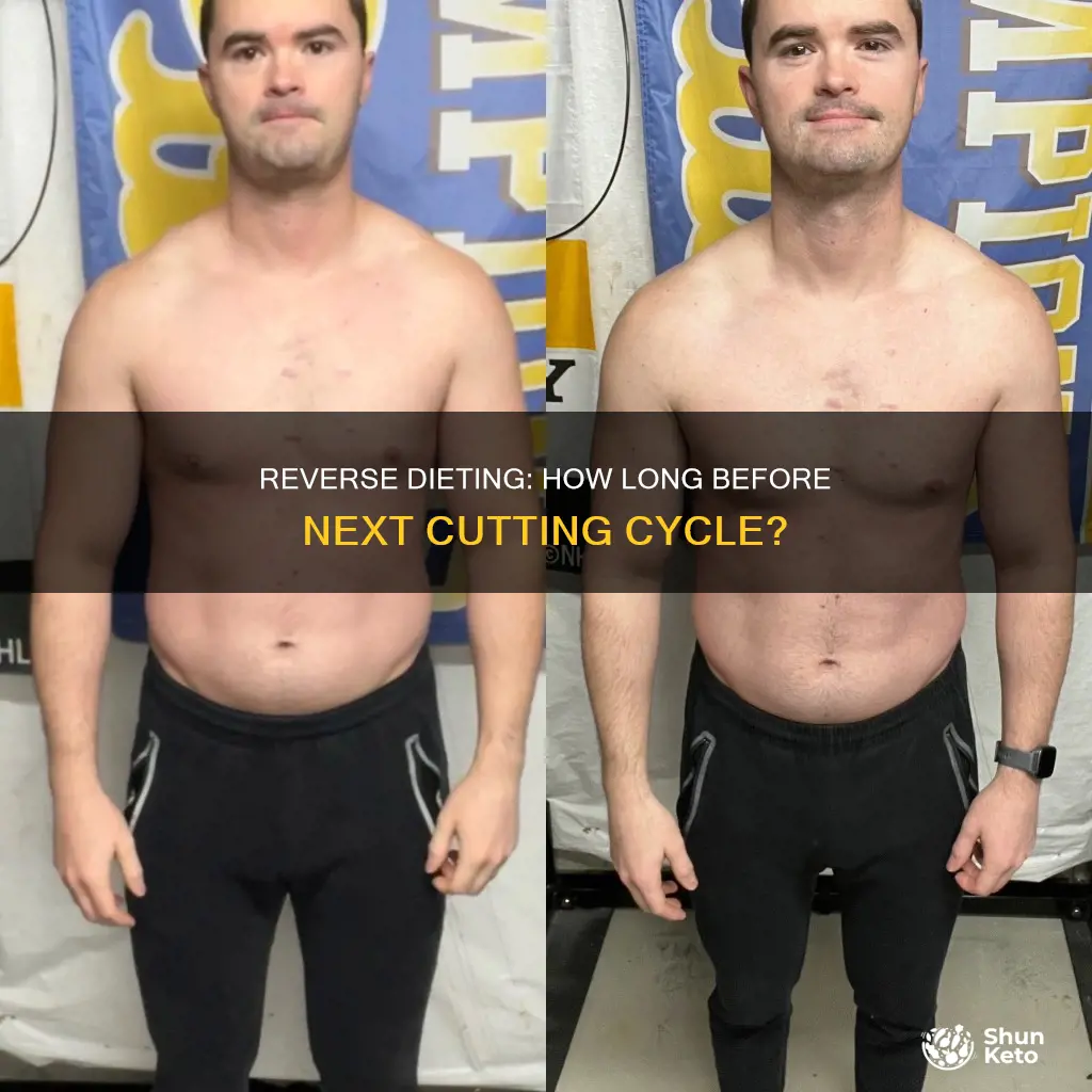 how long to reverse diet before cutting again