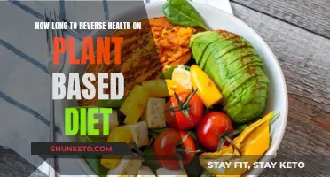 Healing with Plants: Diet Timeline for Health Recovery