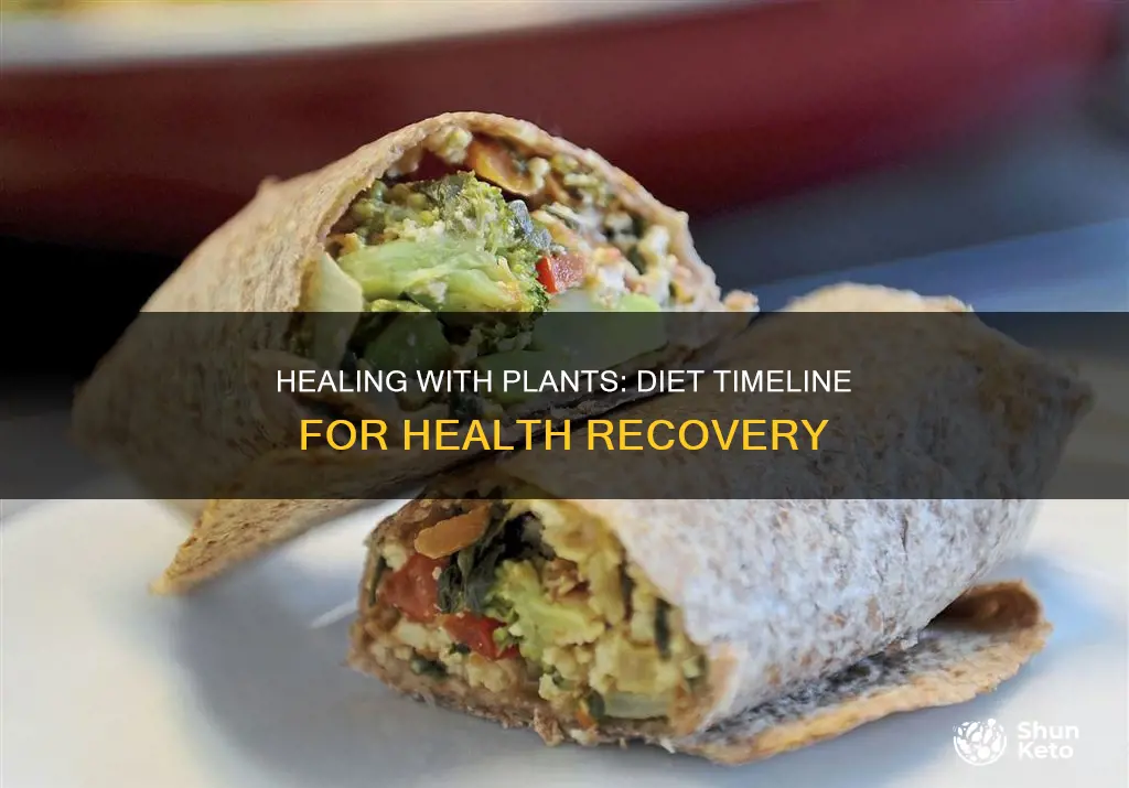 how long to reverse health on plant based diet