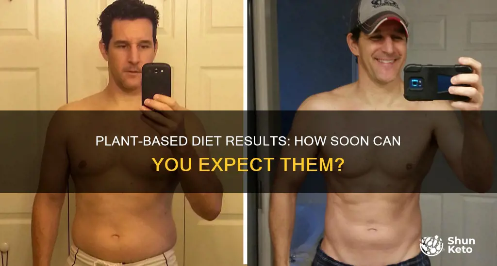 how long to see results from plant based diet