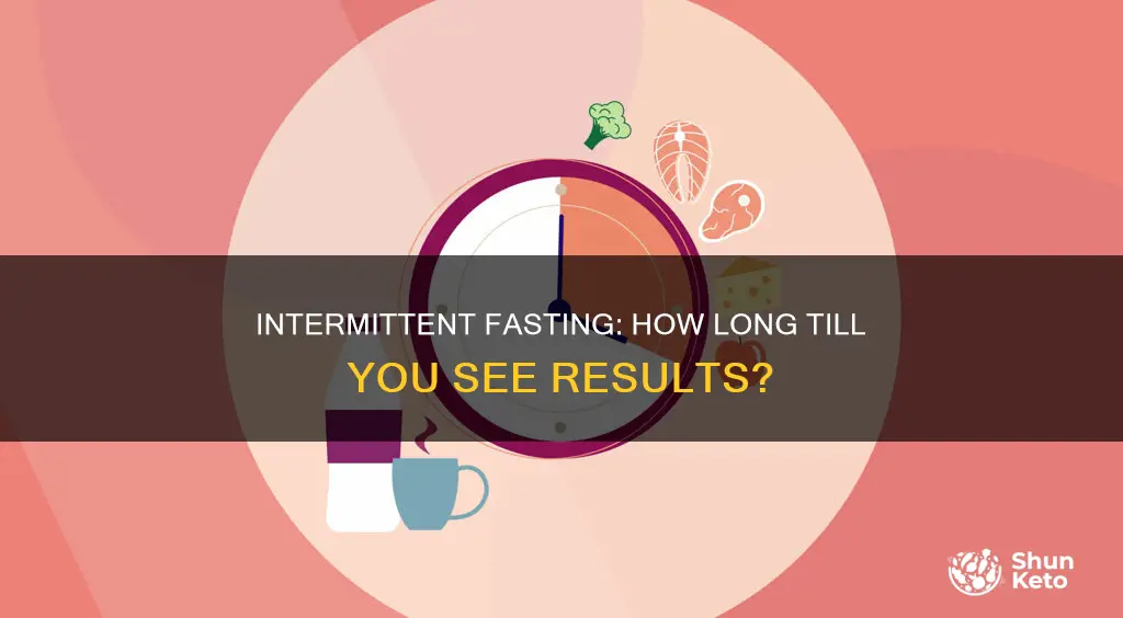 how long to see results on 16 8 diet