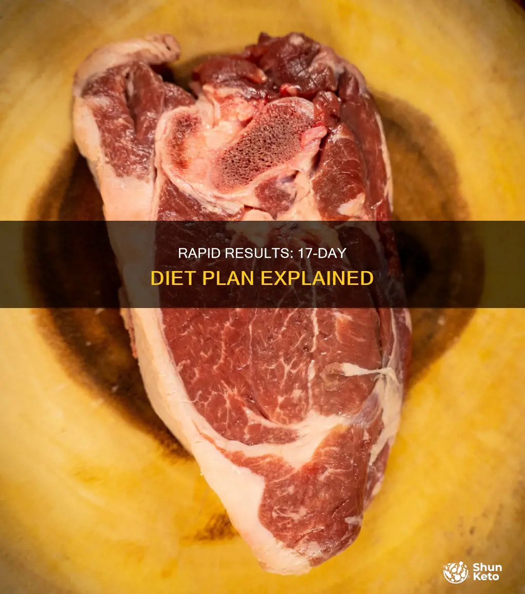 how long to see results on the 17 day diet