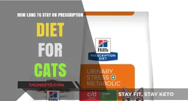 Prescription Diet for Cats: How Long Should It Last?