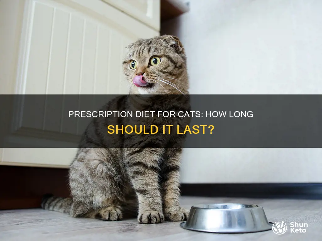 how long to stay on prescription diet for cats