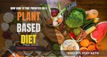 Probiotics and Plant-Based Diets: How Long to Supplement?