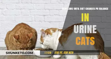 Changing Your Cat's Diet: Urine pH Effects