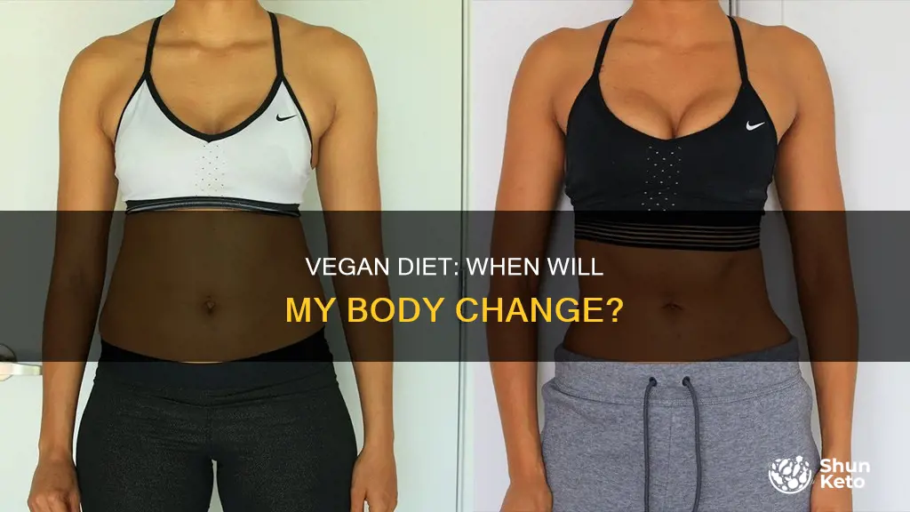 how long until my body sees changes on vegan diet