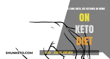Keto Diet Timeline: When Will You Detect Ketones in Urine?