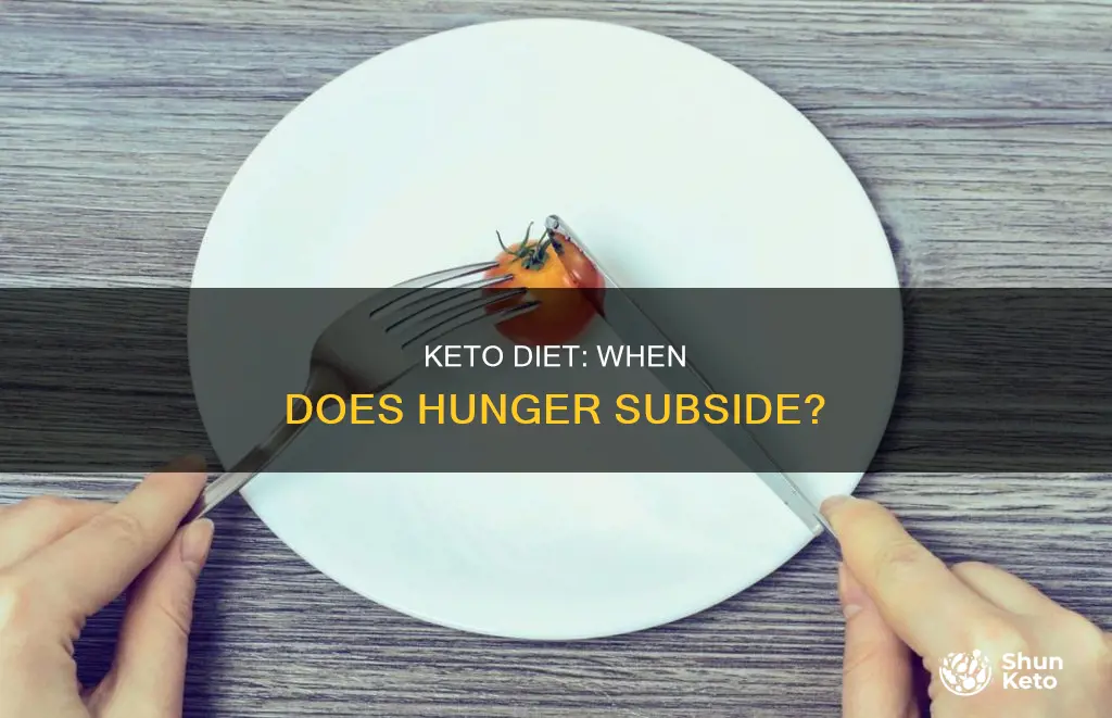 how long until you stop feeling hungry on keto