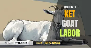 Understanding Goat Labor: Duration and Key Indicators