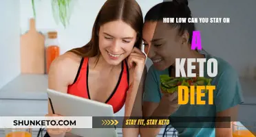 Sustainable Keto: Mastering the Art of Staying Low-Carb Long-Term