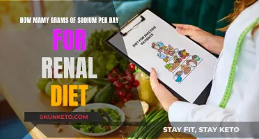 Sodium Intake for Renal Diet: How Much is Too Much?