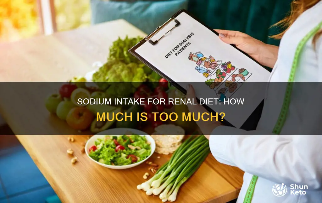 how mamy grams of sodium per day for renal diet