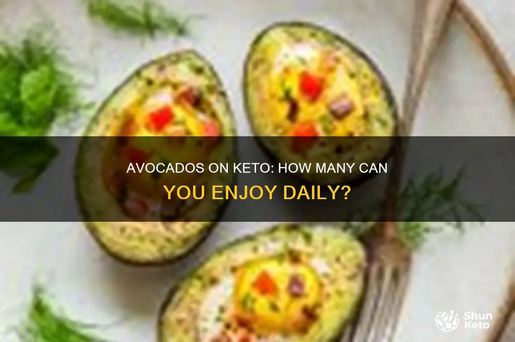 how many advacods can you have on keto diet