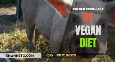 Vegan Diets Save Countless Animal Lives