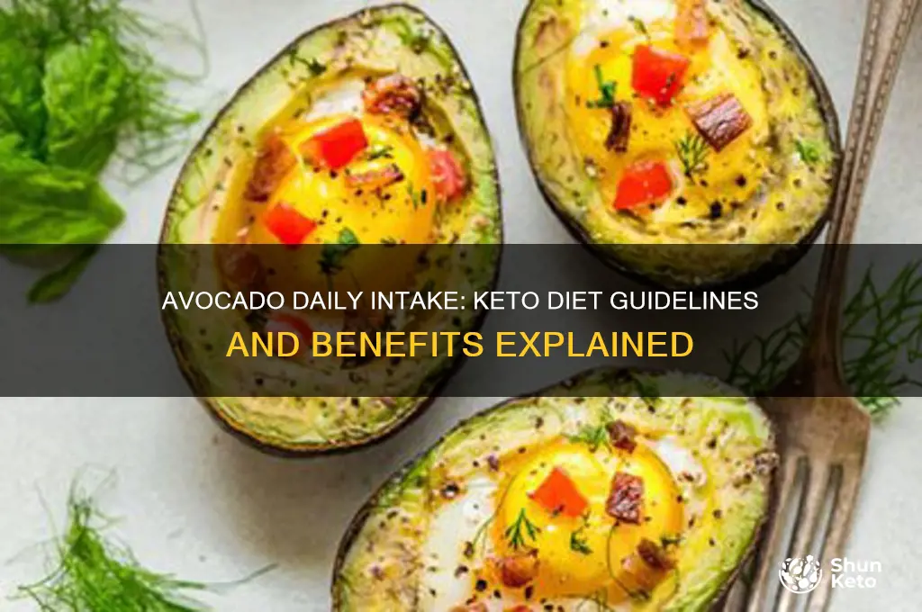 how many avocados a day on keto diet