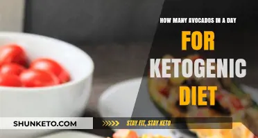 Avocados for Ketogenic Diet: How Many a Day?