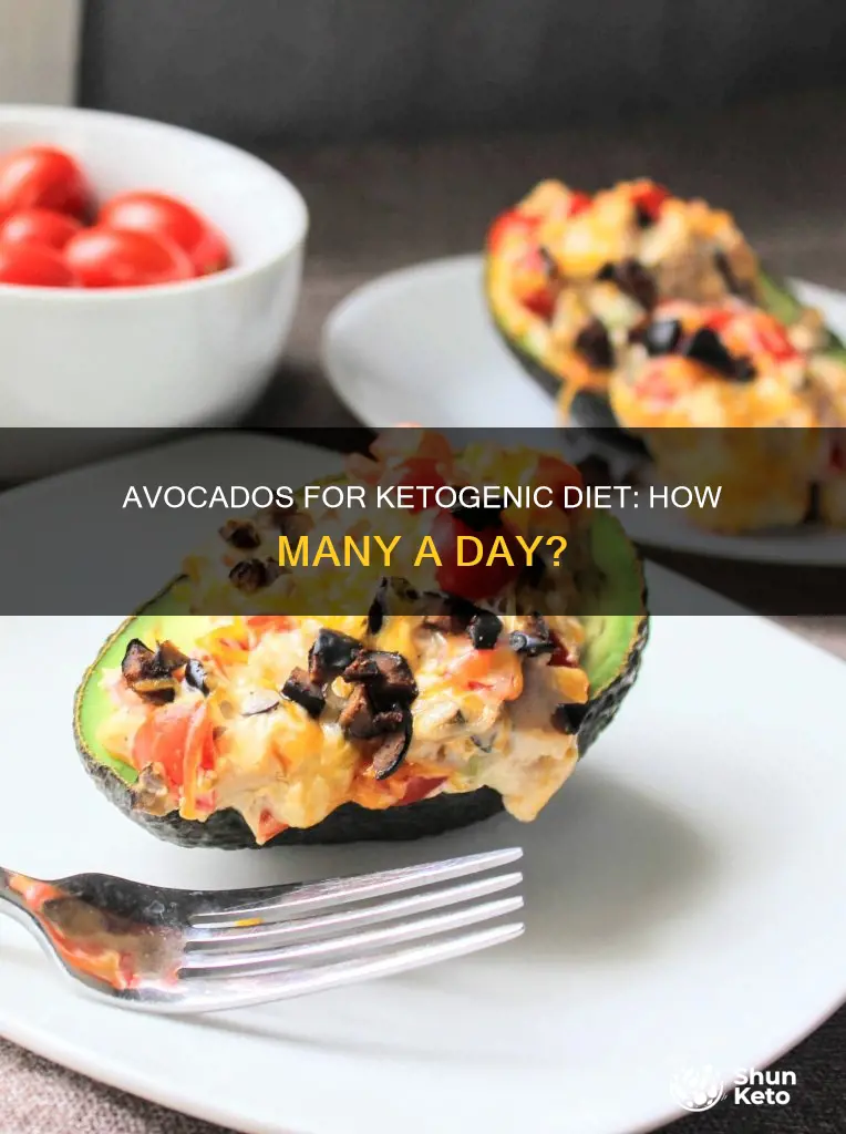 how many avocados in a day for ketogenic diet