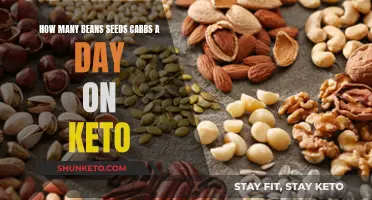 Keto and Beans: How Many Carb Seeds Daily?