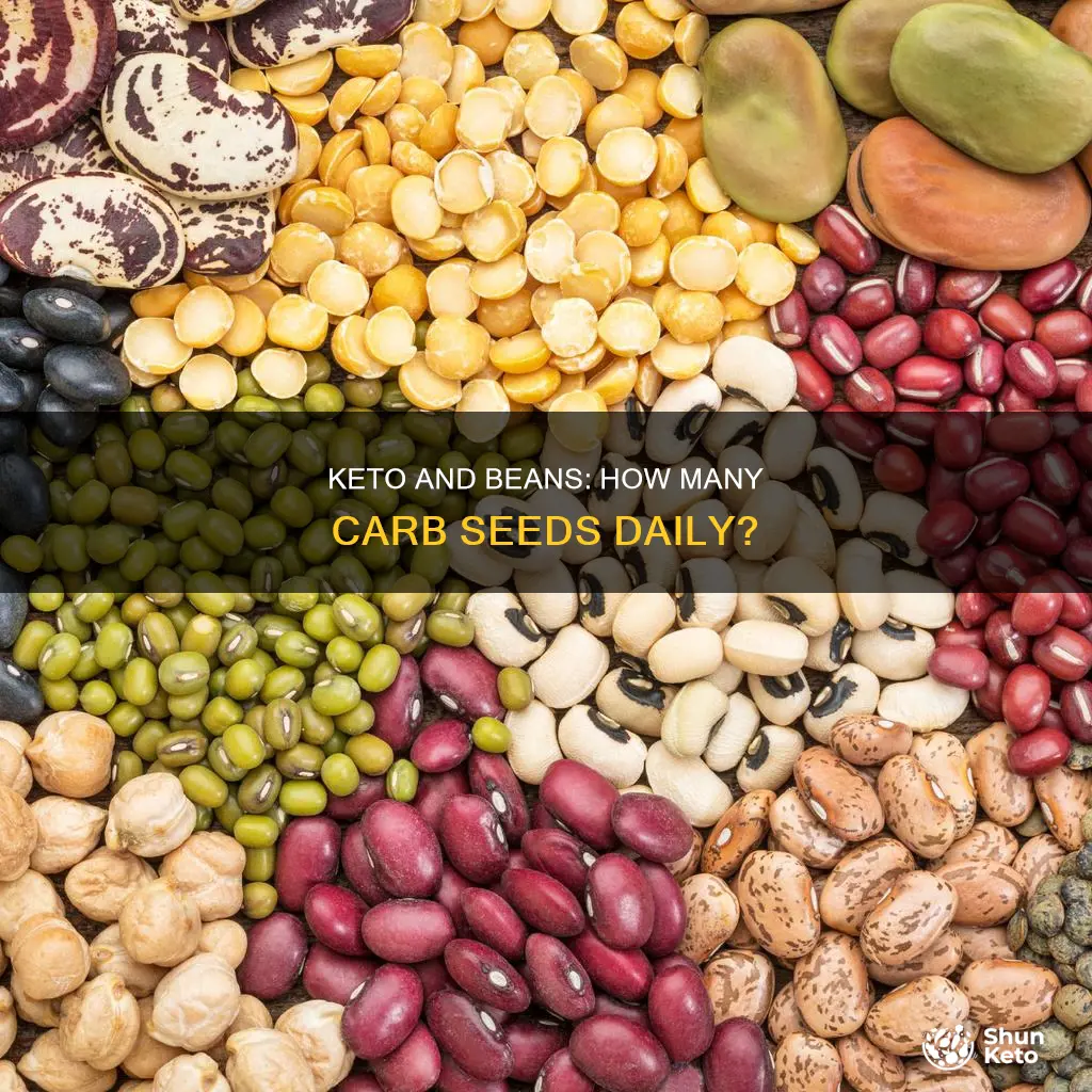 how many beans seeds carbs a day on keto