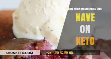 Keto-Friendly Blackberry Portions: Balancing Sweetness and Low-Carb Goals