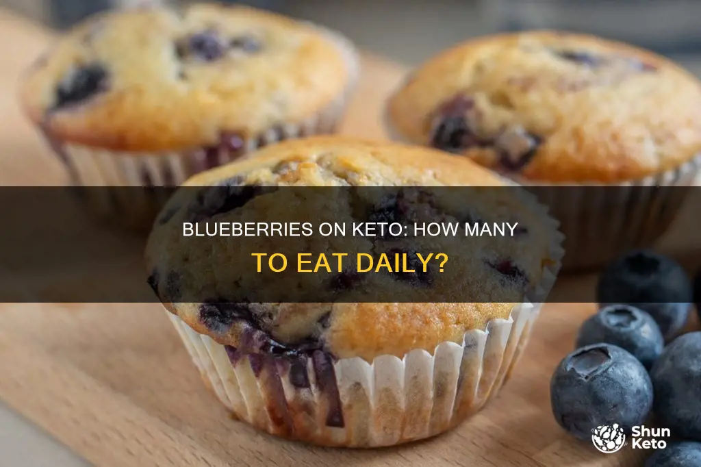 how many blueberries a day on keto