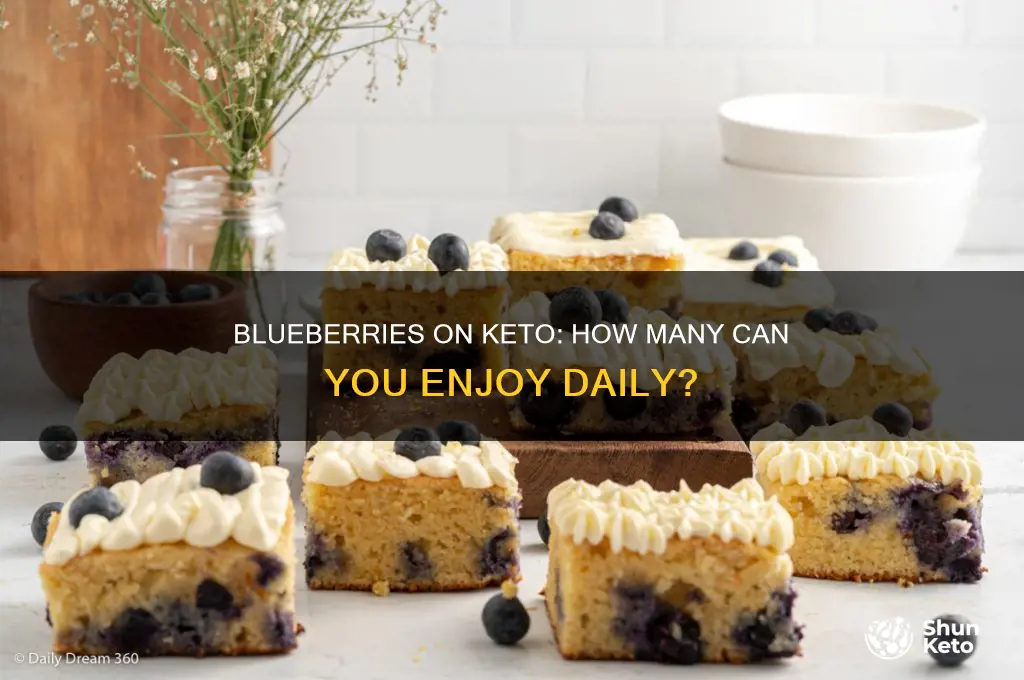 how many blueberries allowed on keto diet