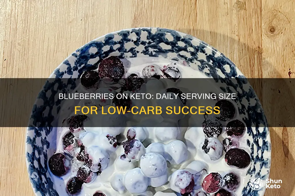 how many blueberries can i eat a day on keto