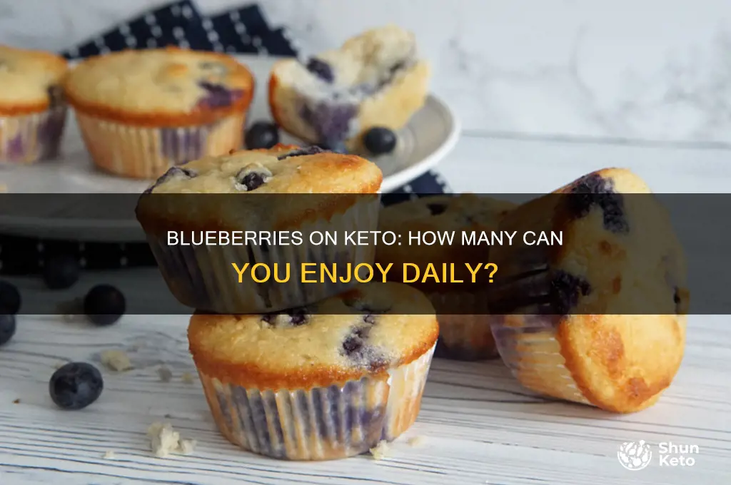 how many blueberries can i have on keto