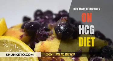 Blueberry Bliss: HCG Diet's Sweet Secret