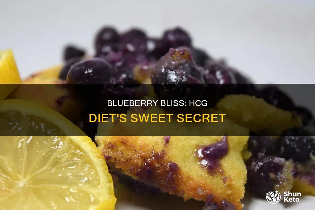 how many blueberries on hcg diet