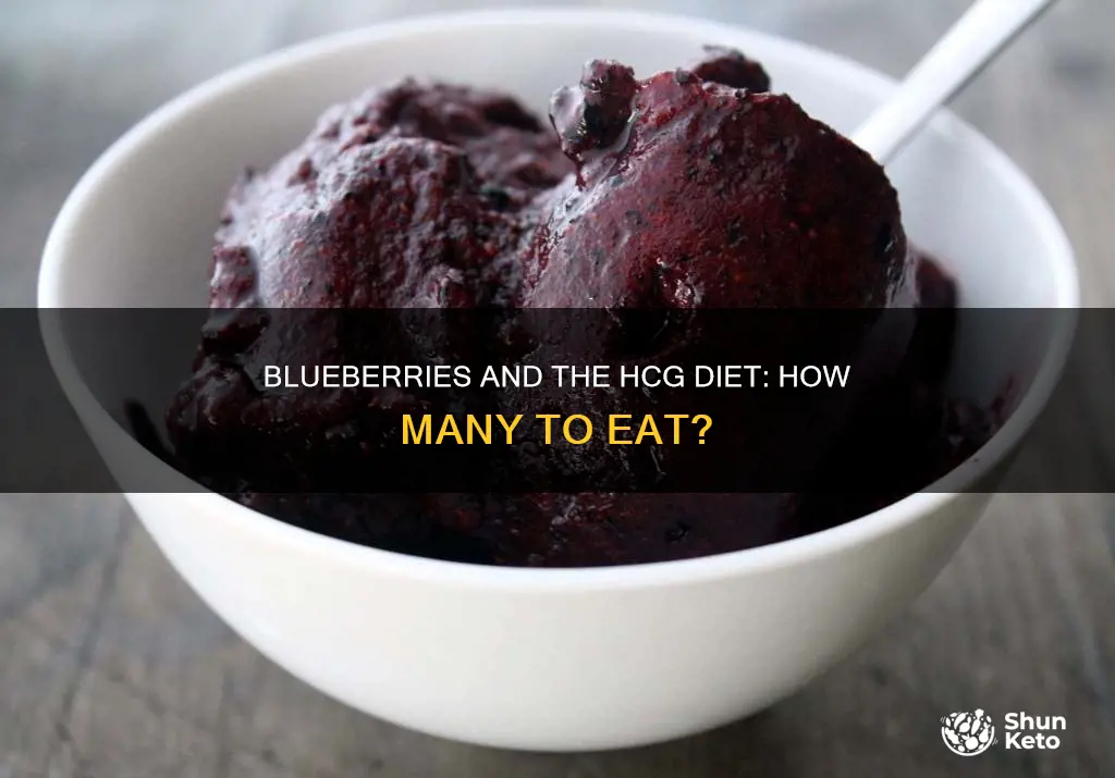 how many blueberries on hcg diet