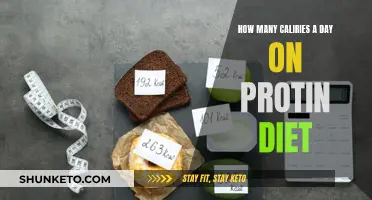 Protein Diet: Counting Your Daily Calories