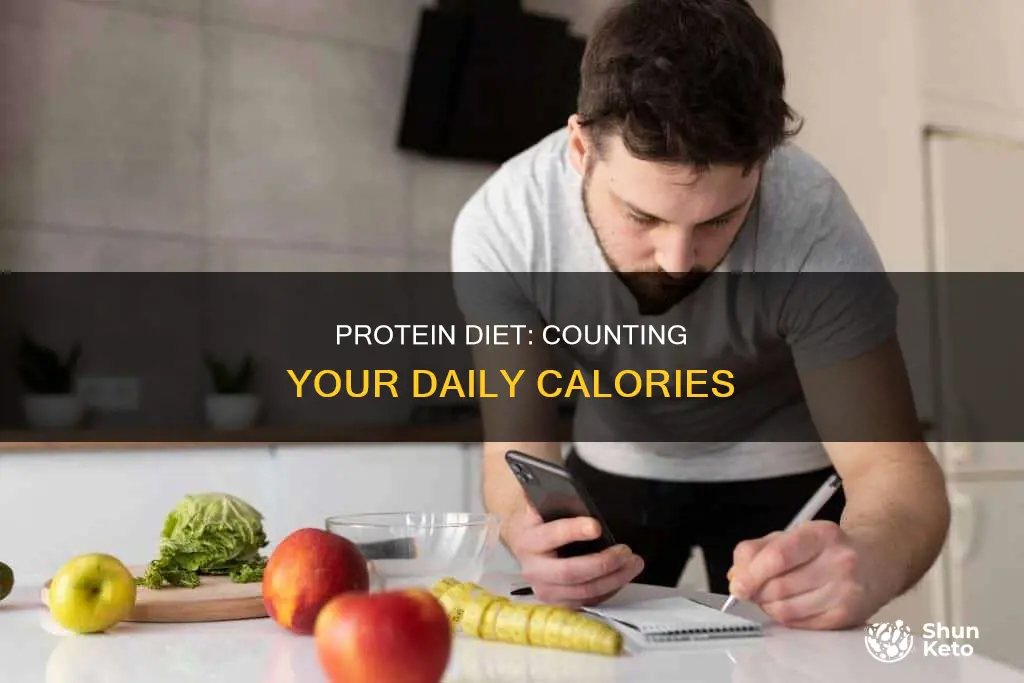 how many caliries a day on protin diet