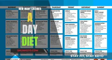 Daily Calorie Intake: Counting Your Diet Calories
