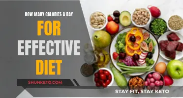 Effective Dieting: Counting Calories for Weight Loss Success