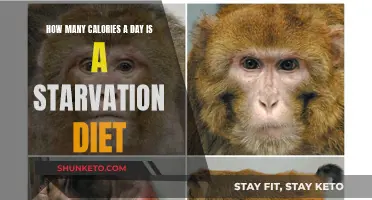 Calorie Deficit: Navigating the Line Between Weight Loss and Starvation