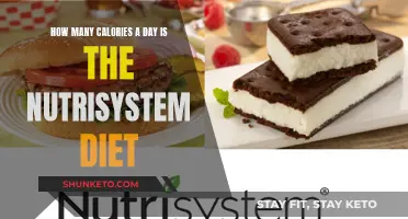 Calorie Counting: Nutrisystem Diet Explained